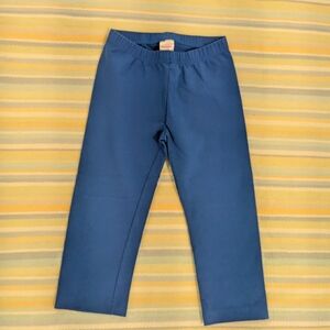⭐ Hanna Andersson Blue Leggings Size 8